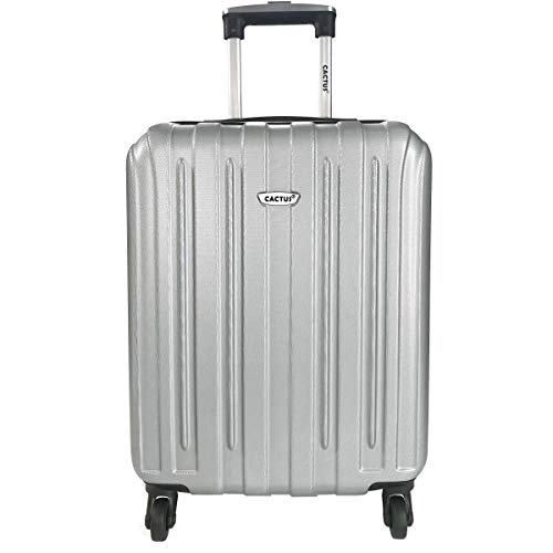 Valise cabine rigide de Cactus argentée en ABS 55 cm